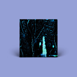 DAS ORIGINAL HASELAND ORCHESTER